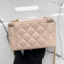 Chanel Pink Vanity Lambskin Chain Shoulder Crush Camellia GHW W Mirror