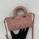 Dior D-joy Micro Old Rose Pink