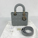 Dior Lady Blue Abc Dior Small Nylon Interior Shoulder