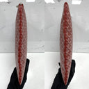Goyard Red Sena Pouch