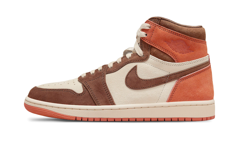 Jordan 1 Retro High OG SP Dusted Clay FQ2941 200 True to Sole