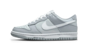 Nike Dunk Low Two Tone Gri