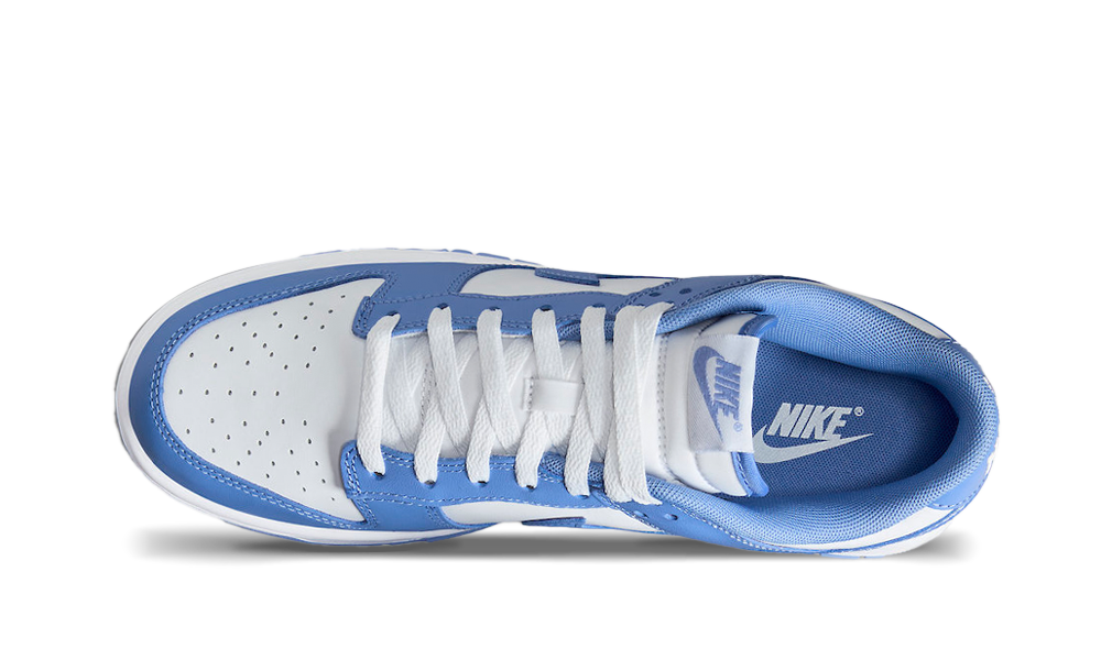 Nike Dunk Low Polar Blue - True to Sole - 3