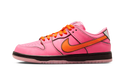 Nike SB Dunk Low The Powerpuff Girls Blossom (FD2631-600) - True to Sole - 1