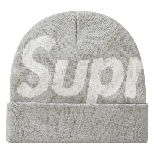 Big logo beanie sales
