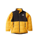 The North Face Balanced Rock Insulated Jacket TNF Yellow (Kids)