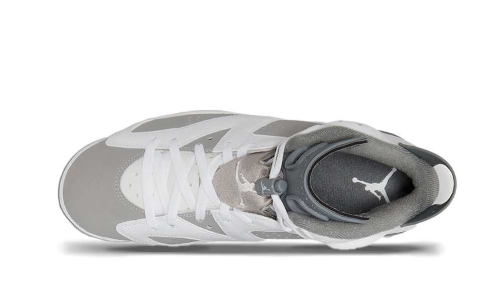 Air Jordan 6 Retro Cool Grey (CT8529-100) - True to Sole-3