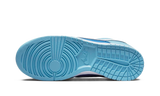 Nike Dunk Low Retro QS Argon (DM0121-400) - True to Sole