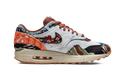 Nike Air Max 1 SP Concepts Heavy - (DN1803-900) - True to Sole