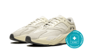 Adidas Yeezy Boost 700 Analog (EG7596) - True to Sole